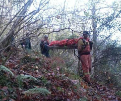 Muere un cazador tras sufrir una caída en Amieva